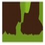 Nexus Ag (Pty) Ltd