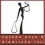 Ngcobo Poyo & Diedricks Inc