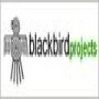 Blackbird Projects