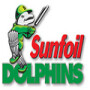 KZN Cricket Union