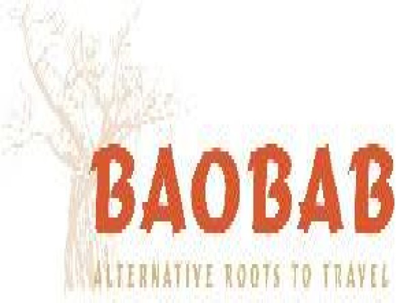 Table Bay Diving & Day Tours & Safaris