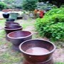 Liebermann Pottery