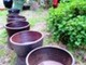 Liebermann Pottery