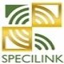 Specilink Specifying cc