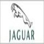 Jaguar (Centurion)