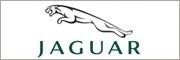 Jaguar (Centurion)
