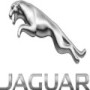 Jaguar (Umhlanga)