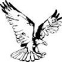 Eagle Lighting