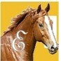 Equerry (Pty) Ltd