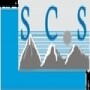 Software Consulting Services