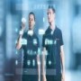 Bosch Service