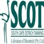 South Cape Ostrich Tanning