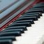 Keshavs Musical Instruments