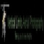 Vertical Limits Aerial Photography CC