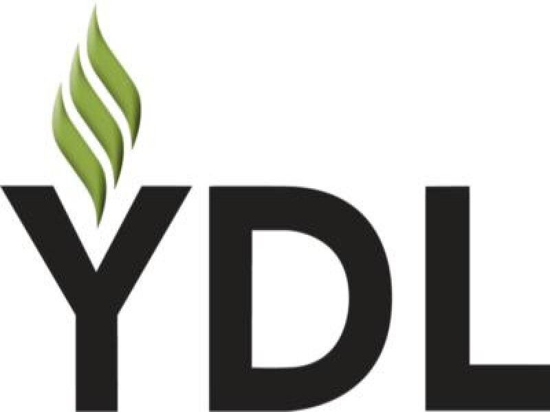 Y D L Wealth Eucation