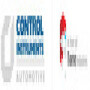Control Instruments Automotive