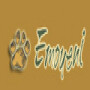 Emoyeni Tours & Lodge