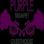 Purple Trumpet Guest House