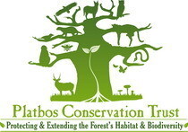Krige Francois Tree Services