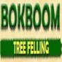 Bok Boom Treefelling