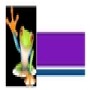 Frogg Recruitment SA