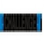Challenge Power Transmission (Africa) (Pty) Ltd