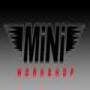 Mini Workshop