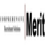 Merit Recruitment