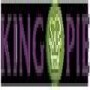 King Pie Holdings (Pty) Ltd