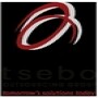 Tsebo Energy Solutions