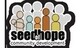 Seed Of Hope Community Development
