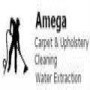 Amega Water Extraction Service
