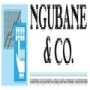 Ngubane & Co Chartered Accountants (SA)