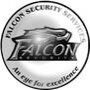 Falcon Security
