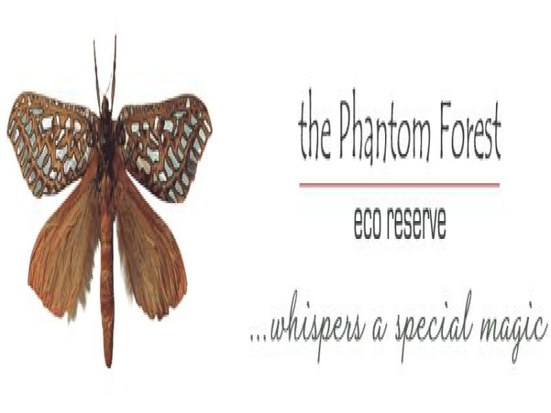 Phantom Forest Eco Reserve