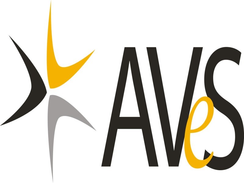 A V E S Cyber Security (Pty) Ltd
