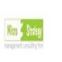 Micro3 Strategy (AA Strategy Consulting & Associates)
