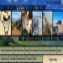 Sama Tours