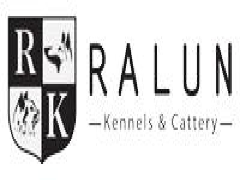 Ralun Kennels & Cattery