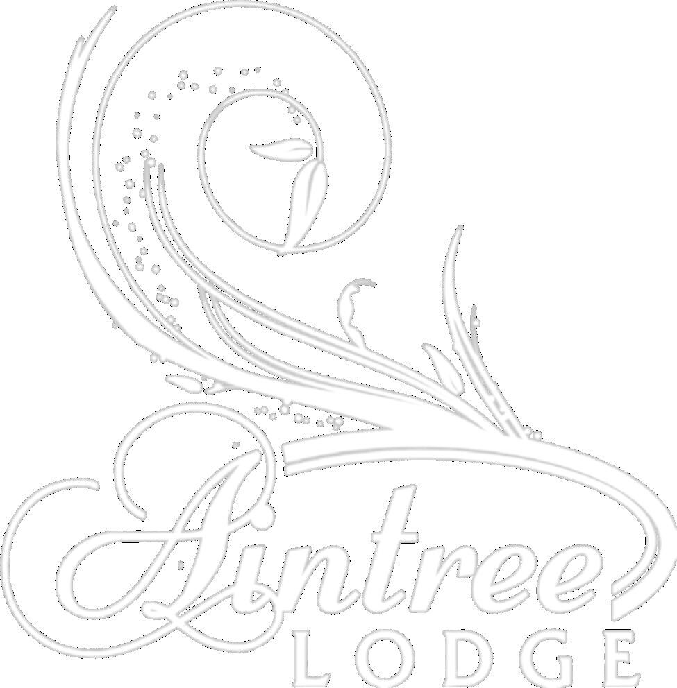 Aintree Lodge B & B Caravan Park