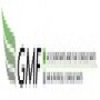 GMF Financial Consulting