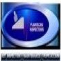 Flawscan Inspection