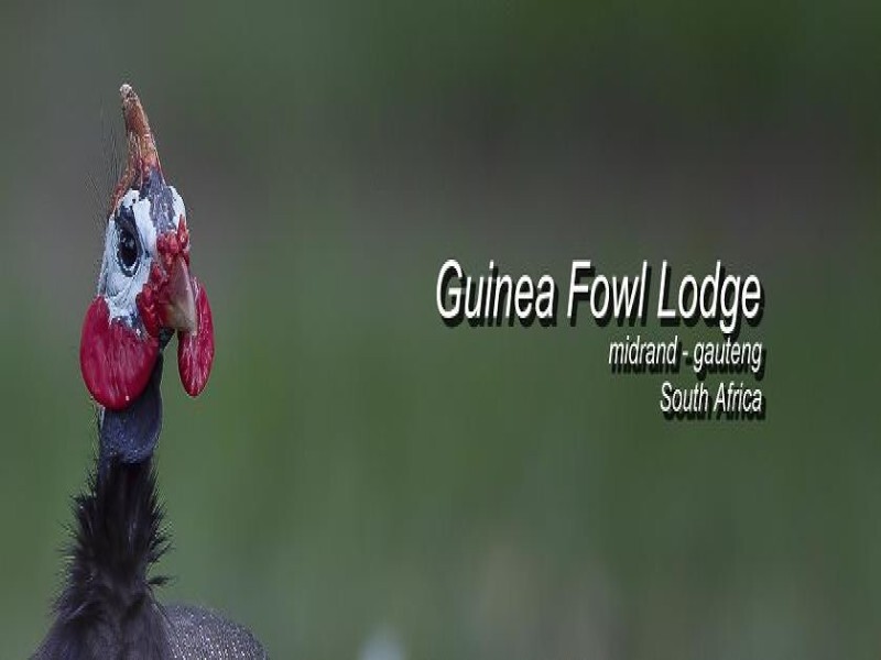 Guinea Fowl Lodge Guest House