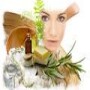 Charms Events Management