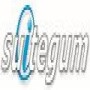 Suitegum Sells Businesses