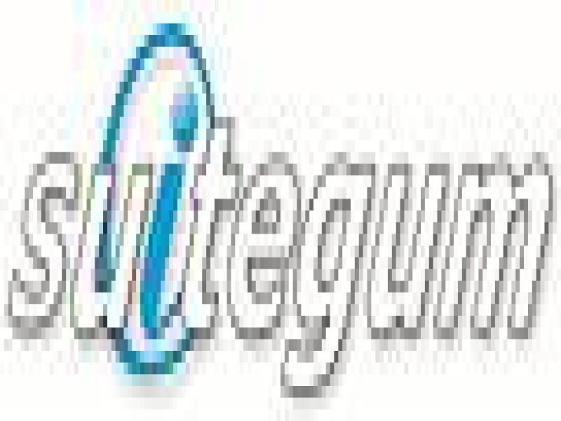 Suitegum Sells Businesses