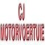 New Season Auto Holdings (TATA)