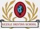 Gezile Driving School