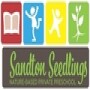 Sandton Seedlings Pre-School