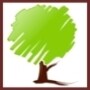 J H Steenkamp Treefelling